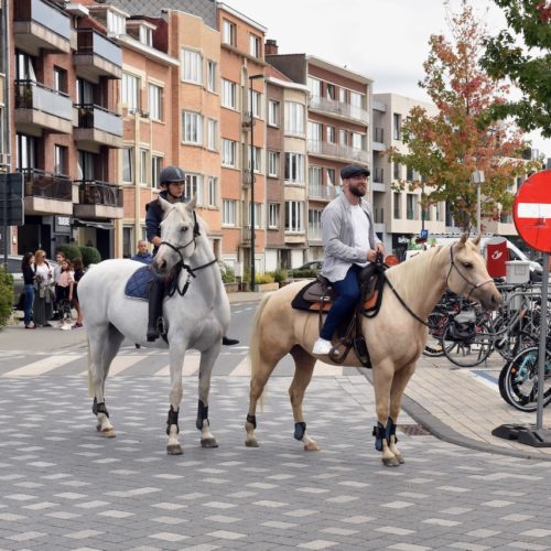 Village_à_la_Ville_2019_Woluwe1150