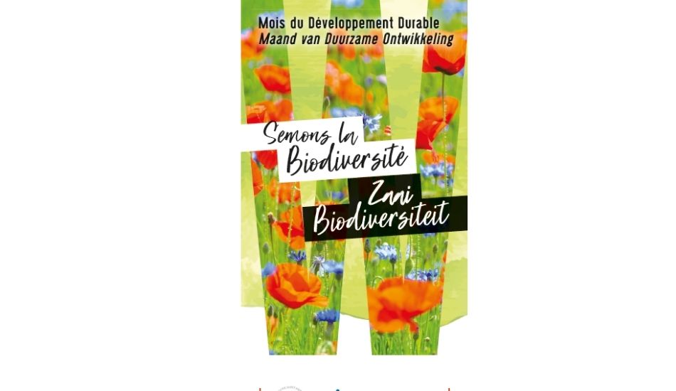 Galerie_Tisser du lien_Woluwe1150 (6)