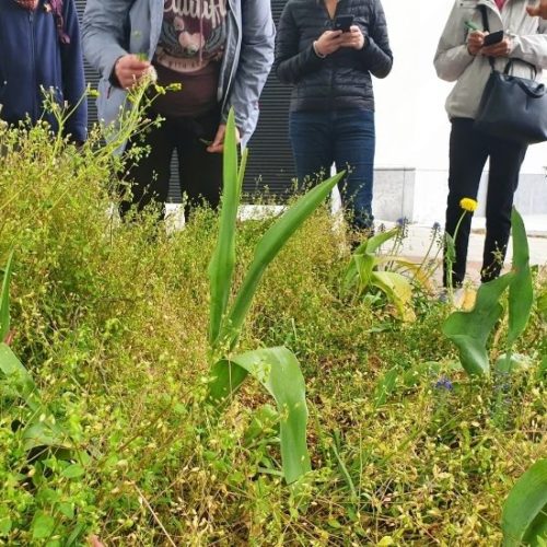 FêteTervu_Woluwe1150 (3)