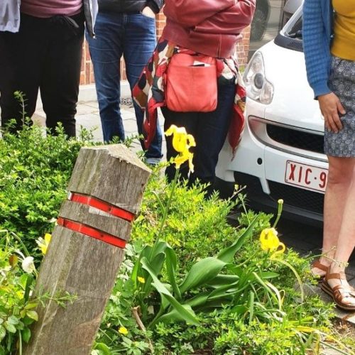 FêteTervu_Woluwe1150 (6)