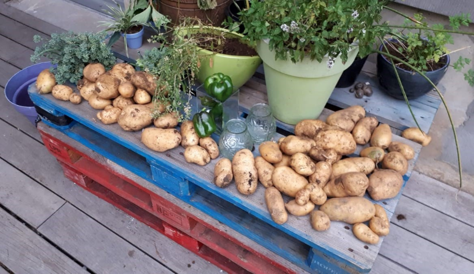 Hofvanorban-Galerie1_Woluwe1150