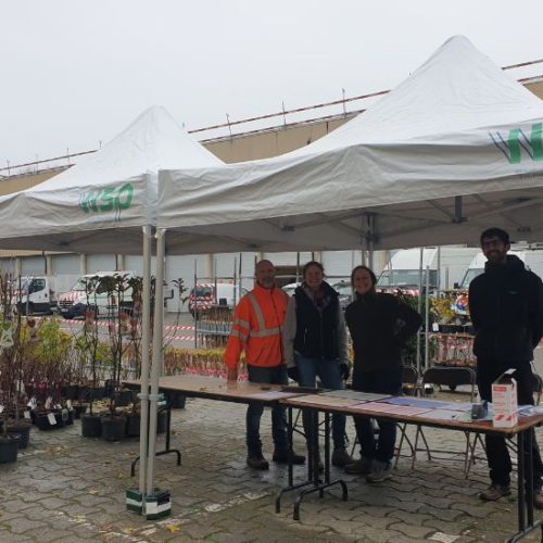 Woluwe1150_Distribution arbres 2022_1