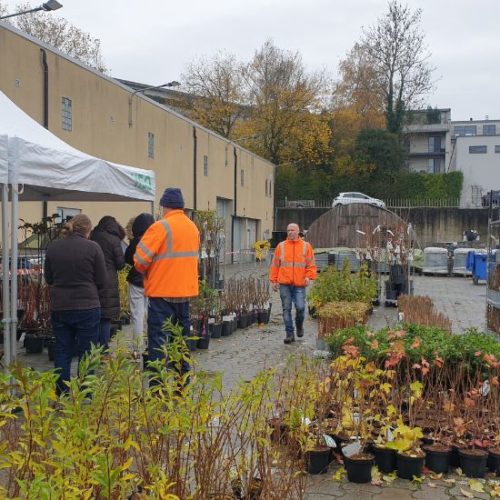 Woluwe1150_Distribution arbres 2022_2