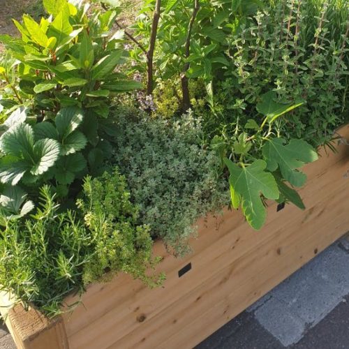 Woluwe1150_Tervueren_2022 5